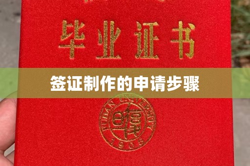 涡阳签证制作的申请步骤